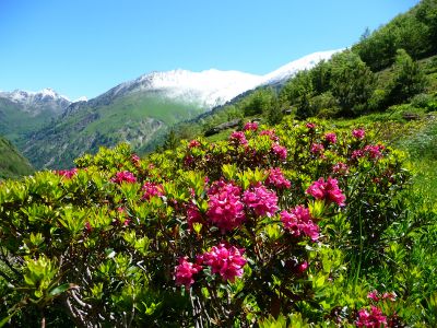 Refuge d'en Beys au Pic de l'Etang Faury en boucle